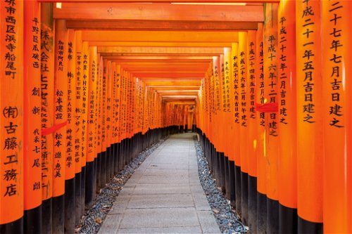 Kyoto beeindruckt vor allem mit seinen historischen Stätten und atemberaubenden Tempelanlagen.