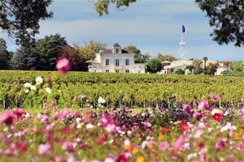 The Saint-Estèphe appellation in the Médoc, with its permeable gravel soils, has coped well with the downpours in 2021 - as has Montrose.
