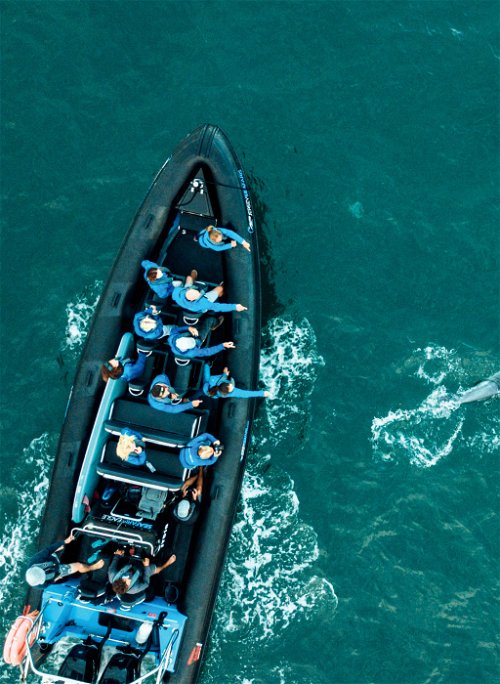 Mit den schnellen RIB Boats geht es auf »Seafari« - etwa zur schmucken Inselgruppe Écréhous. Mit etwas Glück trifft man unterwegs sogar Delfine oder Robben. 