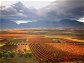 Weine von Weltruf: Best of Rioja
