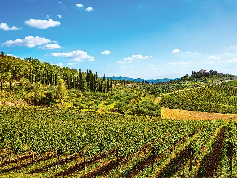 Radda in the heart of the Chianti Classico. The first Supertuscans were created here in the 70s and 80s.  