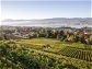 Stadt, Land, Wein: Wieso Flaschen vom Zürichsee so en vogue sind