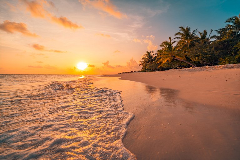 Genießen Sie die Sonne der Karibik.