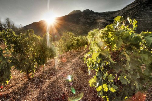 Das Weingut von George Skouras liegt am Peloponnes, unweit der malerischen Hafenstadt Nafplio oder Nauplia.