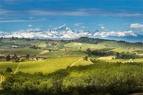 Mächtig erstrahlen die schneebedeckten Spitzen des Monte-Rosa-Massivs im Nordpiemont. Zu Füßen der Berge liegt das Anbaugebiet Gattinara, wo wunderbare Weine auf Nebbiolo-Basis entstehen. 