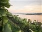 Top 9: Die besten Weine vom Zürichsee