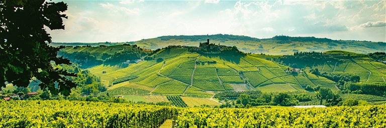 The Langhe, the hills near Alba in southern Piedmont, are famous for Barolo and Barbaresco. However, simpler Nebbiolo wines are also produced here, which are very exciting.