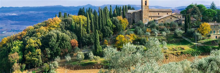 Weinberge, Olivenbäume, Zypressen, historische  Bauten und der weite Blick  ins Orcia-Tal: das ist die Essenz von Montalcino. 
