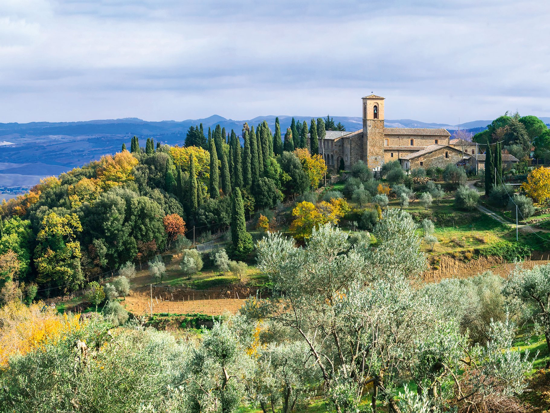 Weinberge, Olivenbäume, Zypressen, historische  Bauten und der weite Blick  ins Orcia-Tal: das ist die Essenz von Montalcino. 