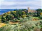 Ein fulminanter Jahrgang: Best of Brunello di Montalcino 2019