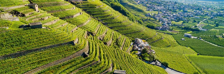 Steillagen und kilometerlange Steinterrassen prägen das Weinbaugebiet Valtellina. 