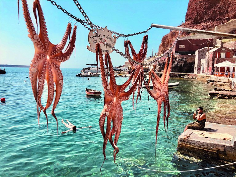 Auch wenn das Bild manchen schockiert – Tintenfische an einer Leine aufzuhängen ist etwa in Griechenland völlig normal. Die Meerestiere sollen an der Sonne trocknen, wodurch ihr Fleisch weicher wird.