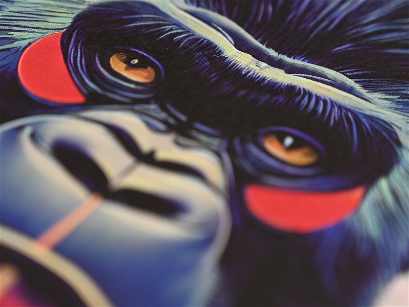 Bored Gorilla – ein Gesamtkunstwerk mit einem Geheimnis.