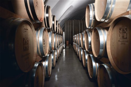 Der Holzfasskeller der Staatskellerei Zürich. Hier reifen auch Weine aus neuen robusten Sorten.