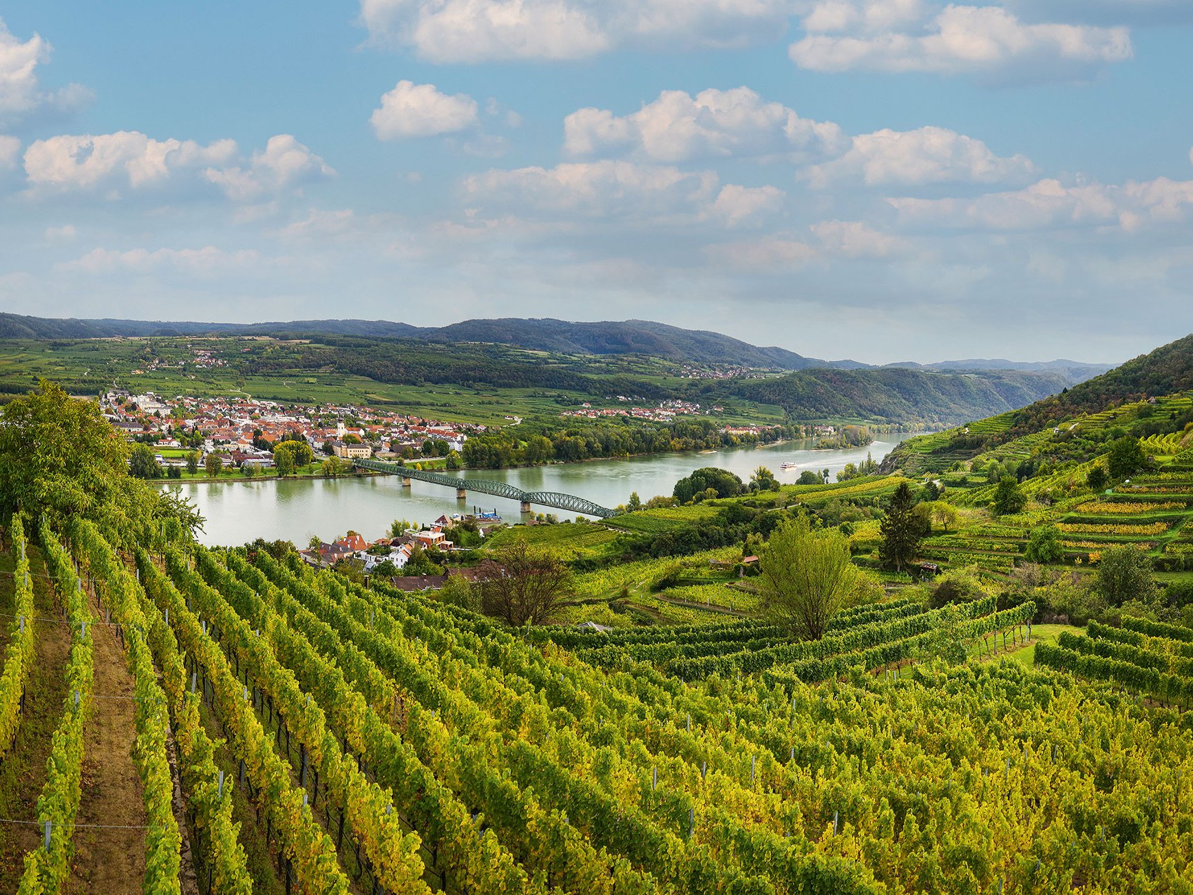 Blick von der bekannten Rieslinglage Ried Grillenparz in Stein an der Donau in das Donautal und auf Mautern.