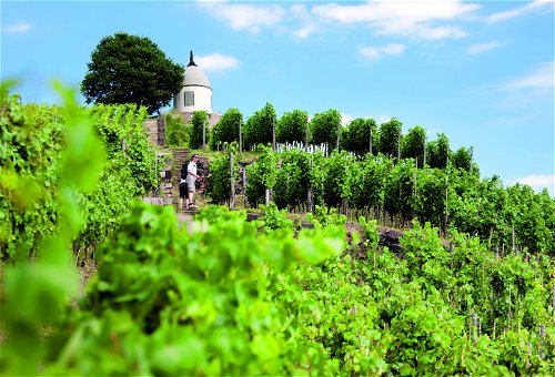 Schloss Wackerbarth ist ein Erlebnisweingut mit »Weinbau zum Anfassen«.