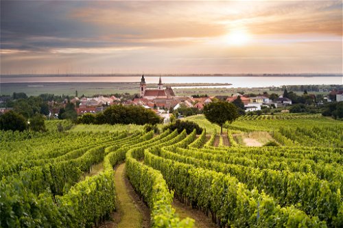 ... Weinverkostungen mit burgenländischen Winzern – Österreichs Genusswelt wird am Festival Food Zurich in allen Facetten gezeigt.