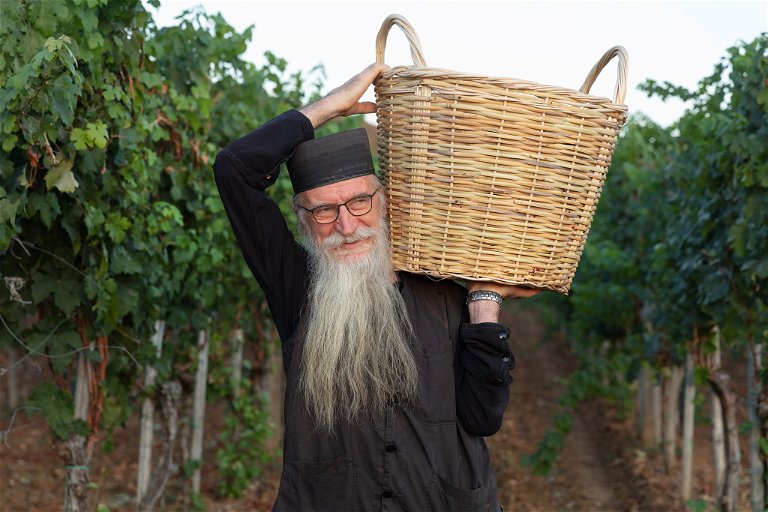 The monks of the Serbian Orthodox Hilandar monastery also lend a hand with the grape harvest.