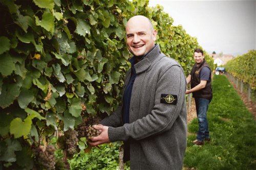Auch das deutsche Weingut Emil Bauer und Söhne setzt auf Chenin Blanc.