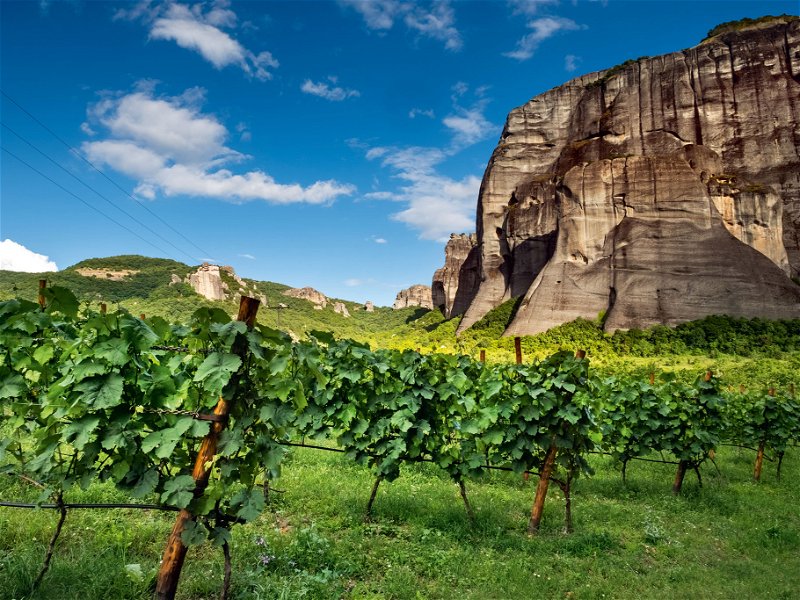 Der Weinbau hat in Griechenland eine jahrtausende alte Tradition, Rebberge findet man im ganzen Land, auch zu Füßen der legendären Meteora-Klöster.