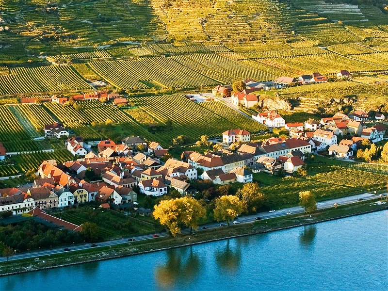 Die Wachau – eine der schönsten, innovativsten und nachhaltigsten Wein­regionen Österreichs.