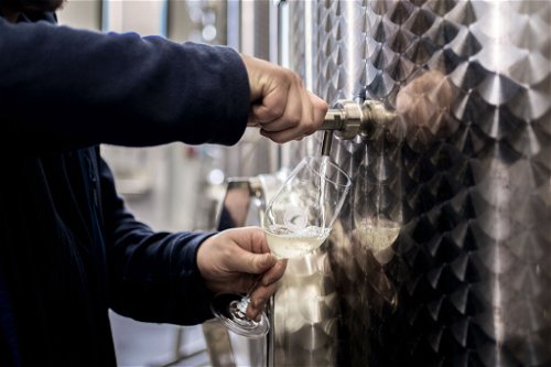 Vor dem Entalkoholisieren wird der Wein im Keller vergoren wie alle anderen Weine auch – in der Entalkoholisierungsapparatur wird der Alkohol abgetrennt.