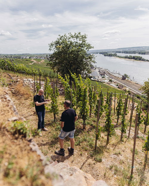 Heroes of Riesling