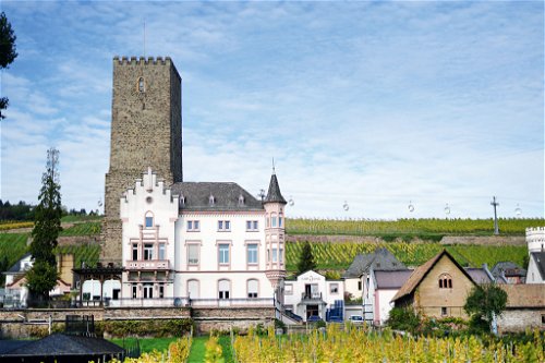 Carl Jung: Firmensitz des Entalkoholisierungs-
pioniers in der Boosenburg in Rüdesheim.