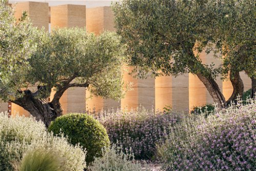 Natürlich darf in der Provence der Lavendel nicht fehlen: wie hier auf dem zu den Domaines Ott gehörigen Château de Selle. Der Neubau stammt vom Architekten Carl Fredrik Svenstedt.