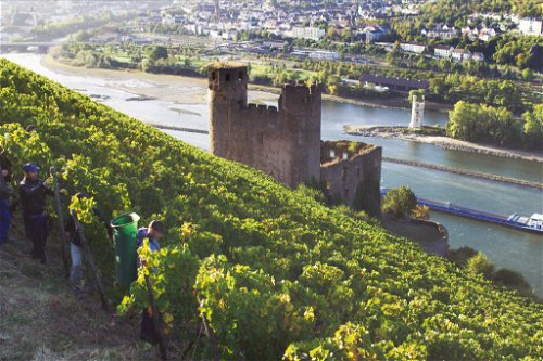 Rüdesheim im Rheingau ist die Heimat des Winzers Johannes Leitz, dessen entalkoholisierte »Eins-zwei-zero«-Weine zu den reifsten Produkten am Markt gehören.