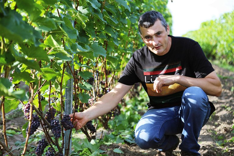 Ernestas Aušvicas, not yet licenced Lithuanian winemaker who wins medals every year. 