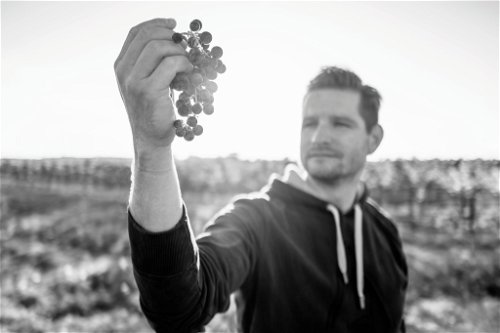 Ein Newcomer in Sachen Rotweine: Stefan Bayer aus Weiden 