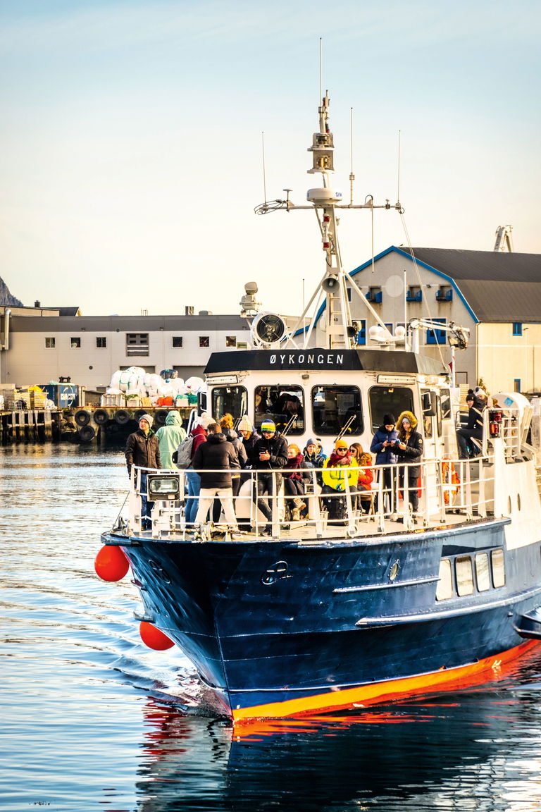 In Svolvær, der Hauptstadt der Lofoten, starten vielerlei Bootsausflüge, darunter Angeltouren und Fahrten auf den Trollfjord, wo viele Seeadler vorkommen.