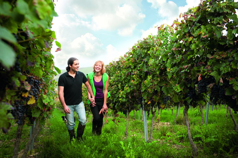 Sarah und Martin Metzler bauen schon sechs historische Sorten an.