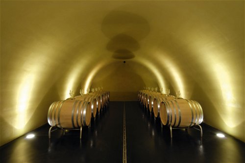 Der Keller der Gantenbeins aus Graubünden: Hier reifen unter anderem die legendären Pinot-Gewächse des Weinguts. 