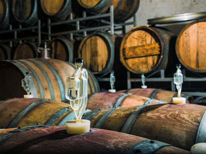 Im Weinkeller des steirischen Natural-Pioniers Sepp Muster genießen die Weine Zeit ­ und Raum. 