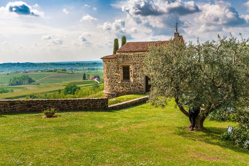 Wine has been cultivated around the Rosazzo monastery since the Middle Ages. 