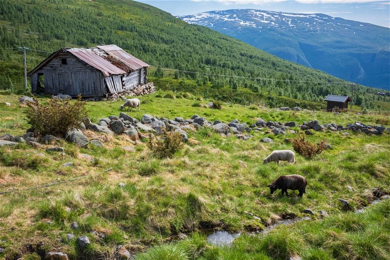 Ein Seter entlang der landschaftlichen Route Aurlandsfjellet in Norwegen
