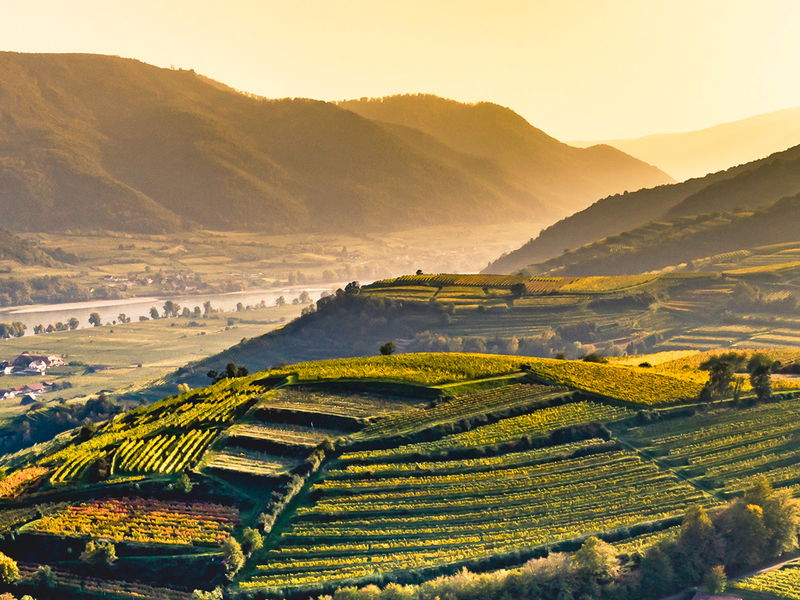 Die wundervolle Wachau bietet erlesenen Herbstgenuss.