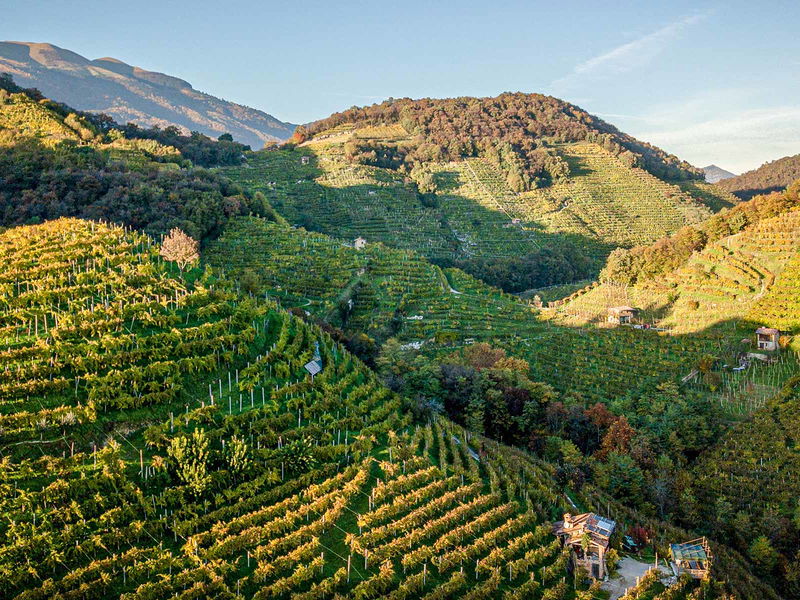 Auf den Hügel bei Valdobbiadene wachsen die Grundlagen für köstlichen Conegliano Valdobbiadene Prosecco Superiore DOCG.