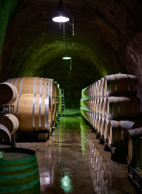 Weingut Salwey: Holzfassausbau in Gebinden verschiedenster Größe. 