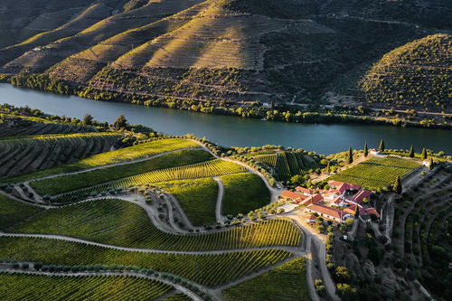 The Symington family and Bruno Prats, former owner and winemaker of Cos d'Estournel, have been producing top wines in the Douro Valley since 1999. 