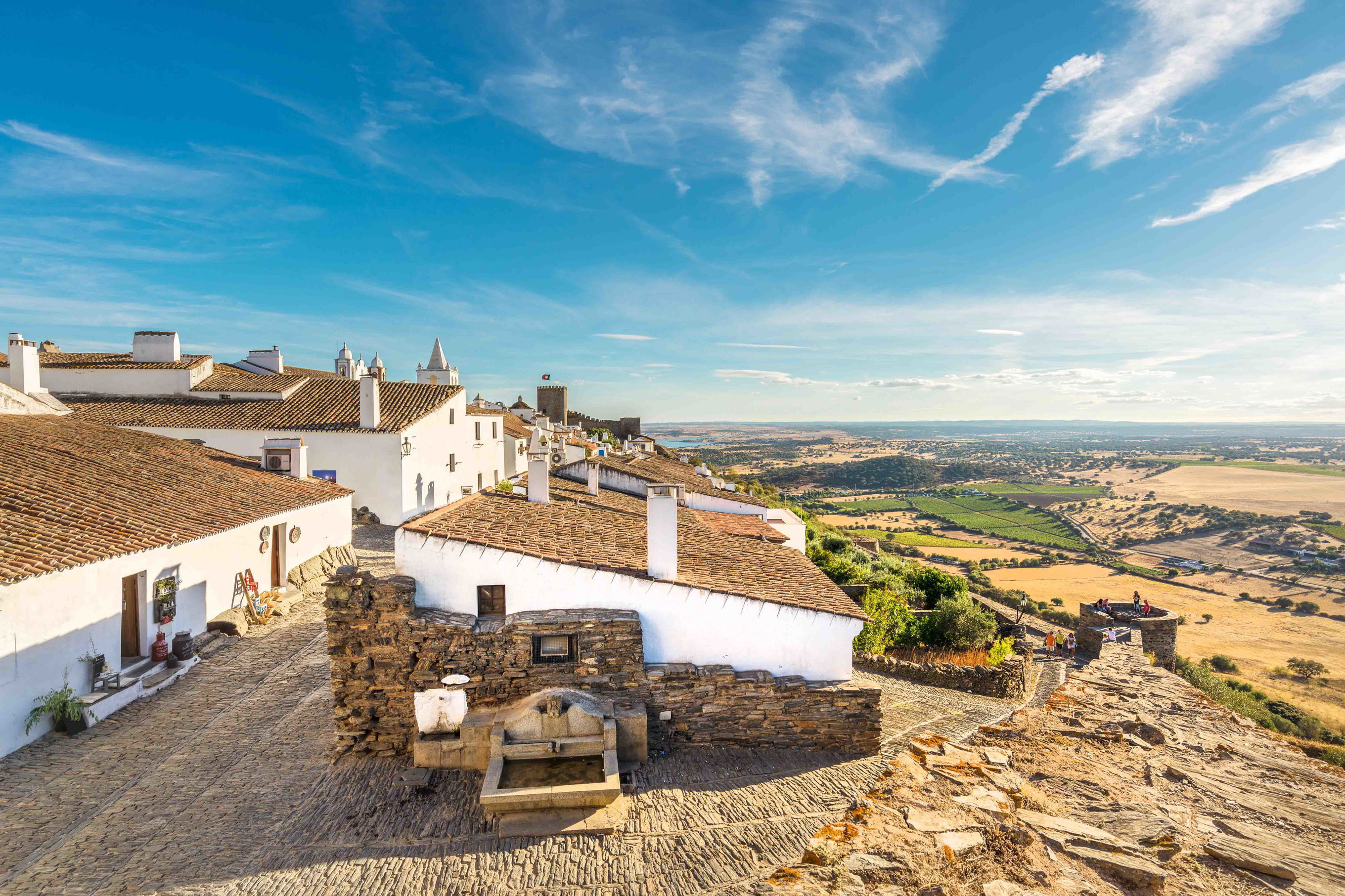 Estrelas cadentes: como os vinhos de Portugal chegaram ao topo