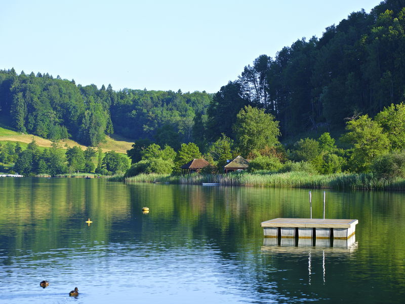 Der Türlersee im Kanton Zürich bei Affoltern.