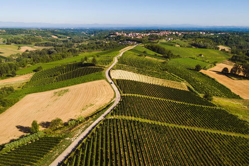 Im Monferrato, das Gebiet um Nizza und Asti, zeigt sich das Piemont noch ursprünglich.