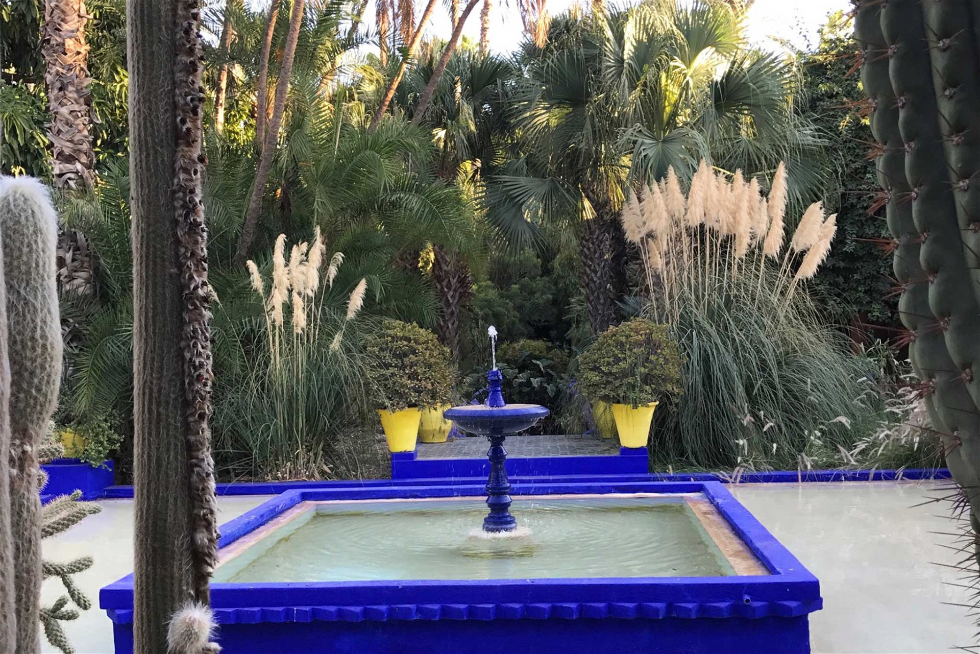 Absoluter Pflichttermin bei jedem Marrakesch Besuch ist der »Jardin Majorelle«. Der ehemalige Garten von Modegenie Yves Saint Laurent besticht mit einer unfassbaren Schönheit. 