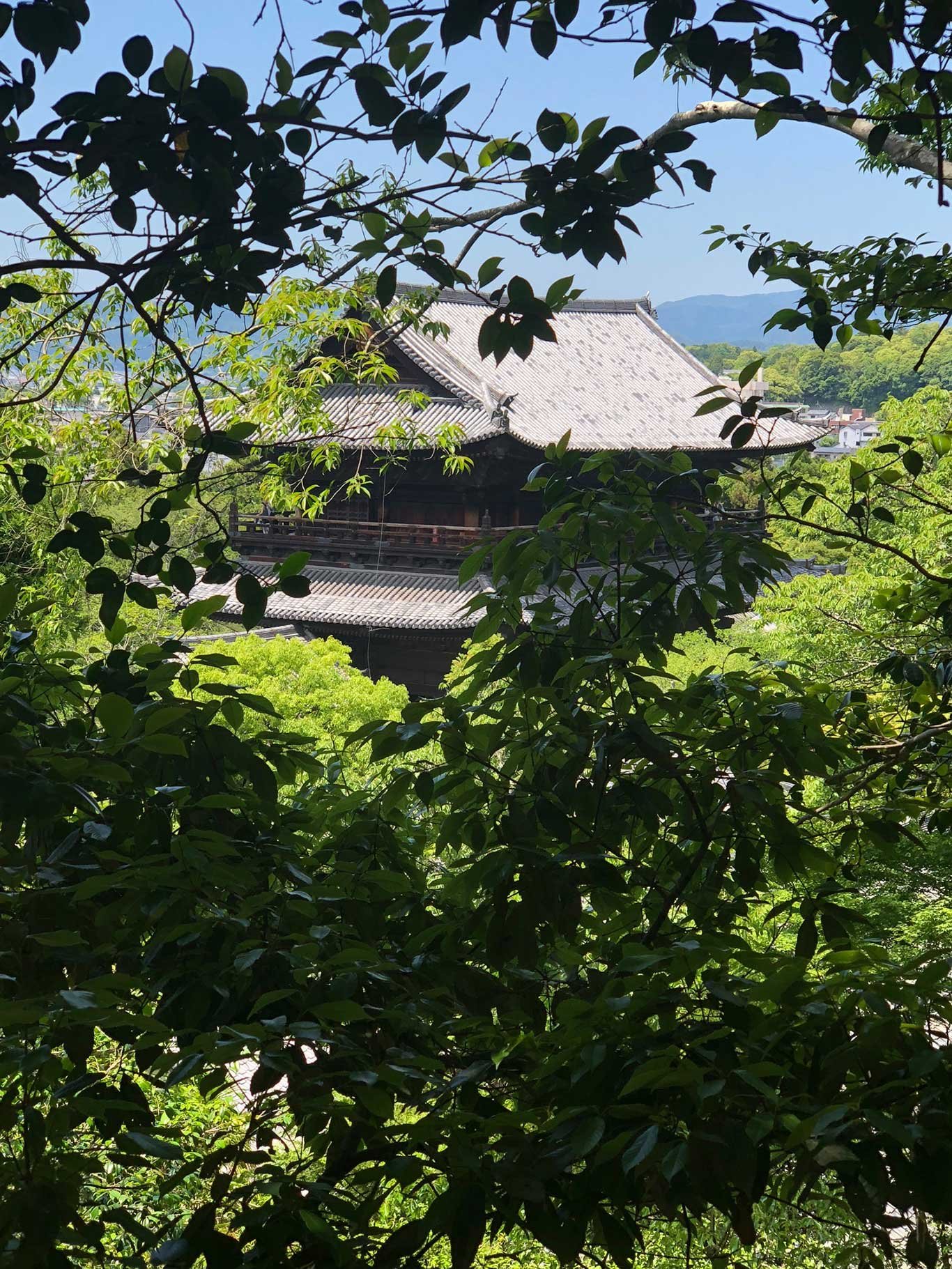 Unter grünen Blättern kann man das Dach des »Nanzenji Tempel« erblicken. 