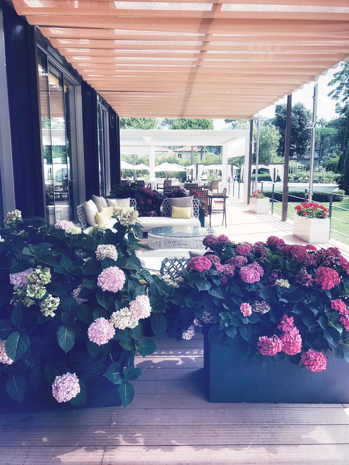 Die bunten Hortensien sorgen für farbenfrohe Abwechslung im Outdoor-Bereich des Hotels. principefortedeimarmi.com
