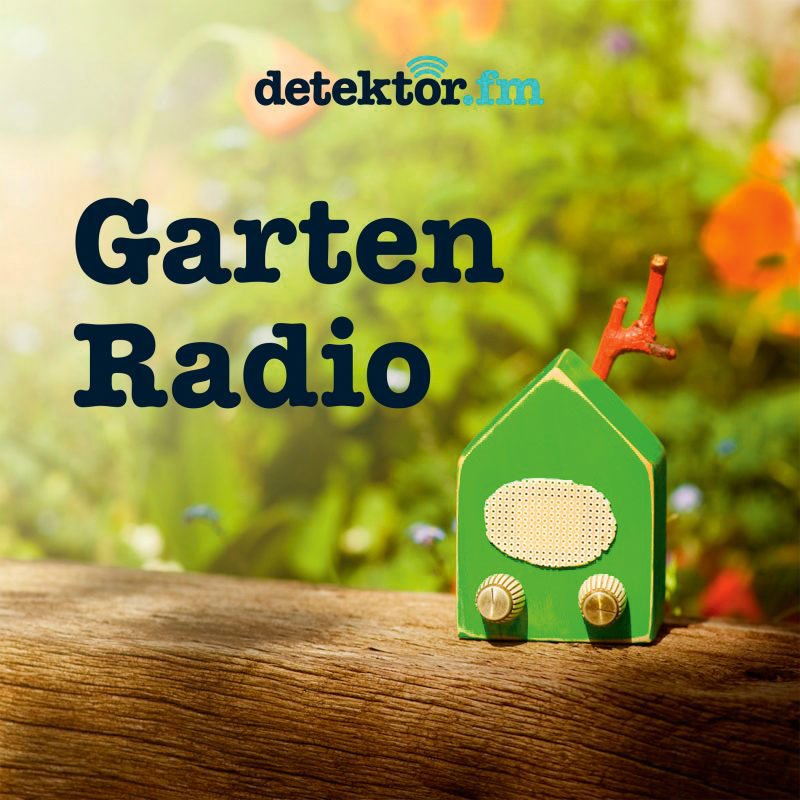 Gartenradio: Wie unerschöpflich das Thema Garten und Pflanzen ist, sieht man an diesem Podcast, der sich seit fast fünf Jahren der gezähmten Natur widmet. Die Kunst besteht auch darin, nicht zu langweilen, und deswegen wird in den Episoden auch immer wieder über die eigene Hecke hinausgedacht. 