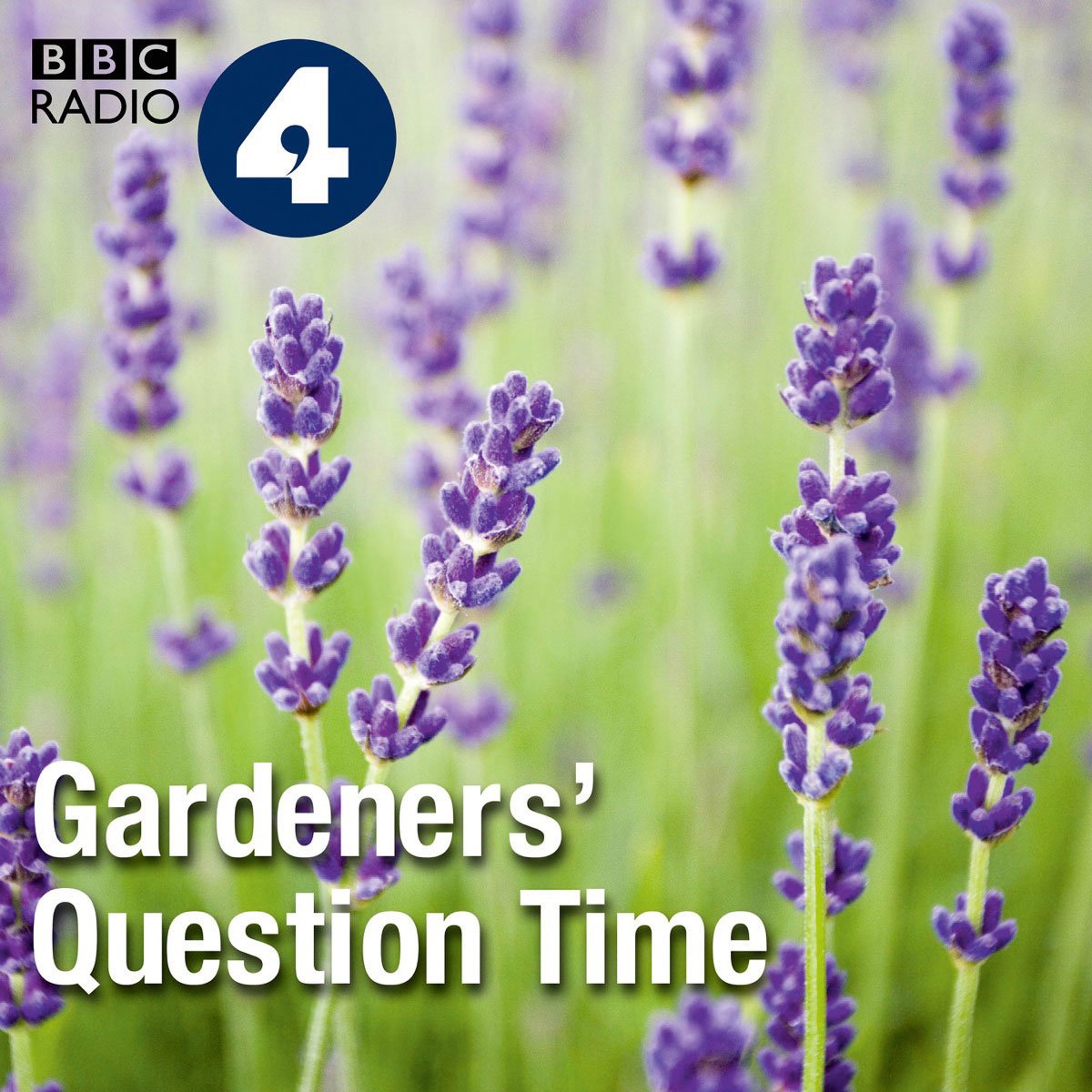 Gardeners’ Question Time: Wie man Radio macht, weiß man bei der BBC. Wie man Podcasts macht auch. Informativ und kurzweilig mit Call-in-Elementen versehen, bleiben hier zum Thema Garten- und Pflanzenbetreuung kaum Fragen offen. Kleine Ausflüge und Vor-Ort-Reportagen gibt es auch zu hören.